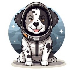 project-logo-img