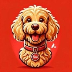 project-logo-img