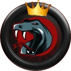 project-logo-img
