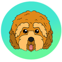 project-logo-img
