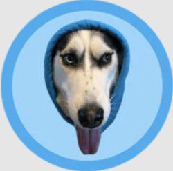 project-logo-img