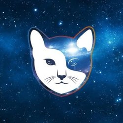 project-logo-img