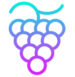 project-logo-img