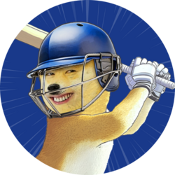 Indian Premier League Fan Token