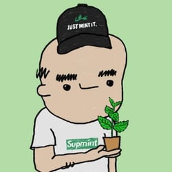 Its Free Mint