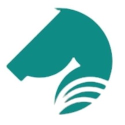 company logo