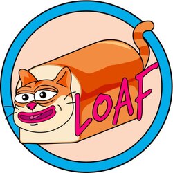 project-logo-img
