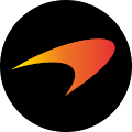 company logo