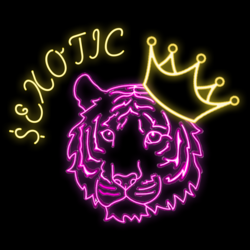 project-logo-img