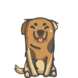 project-logo-img
