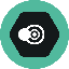 SNPIT TOKEN