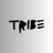 Tribe Odyssey