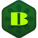 BorpaToken