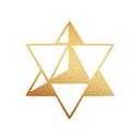 project-logo-img