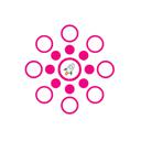 StellarPay