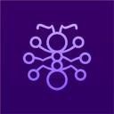 The DeFi Collective