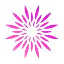 zk-SPARK